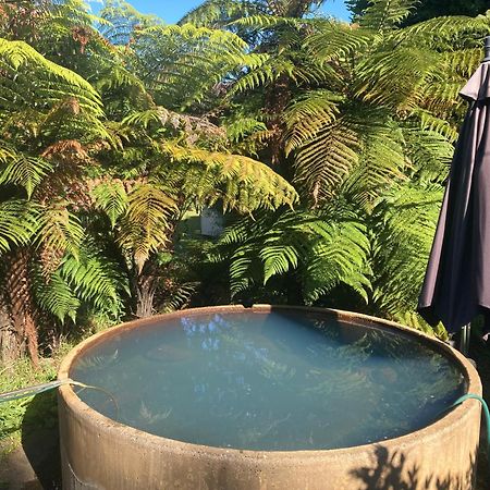 Whare&Geothermal Pool By Lake Taupo Turangi Esterno foto