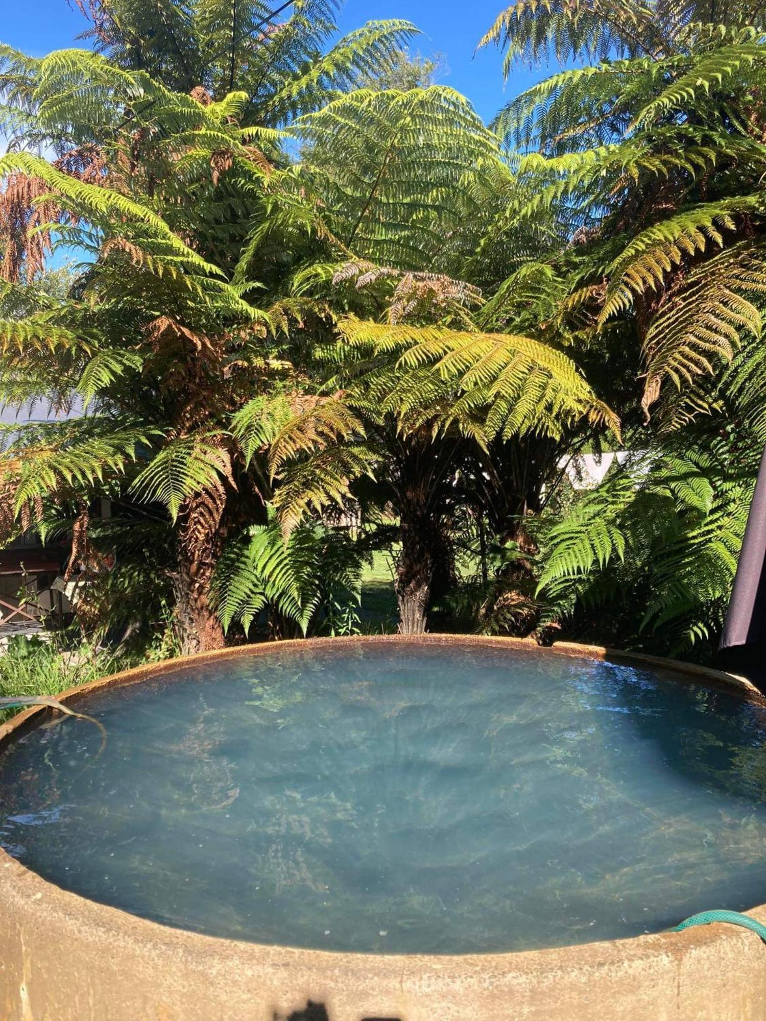 Whare&Geothermal Pool By Lake Taupo Turangi Esterno foto